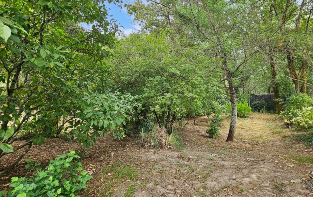 Annonces AIGUILLON : Maison / Villa | VIANNE (47230) | 170 m2 | 119 000 &euro; 